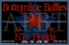 Bottomline-Bullies Banner