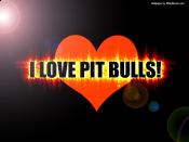 Pa Pit Lovers