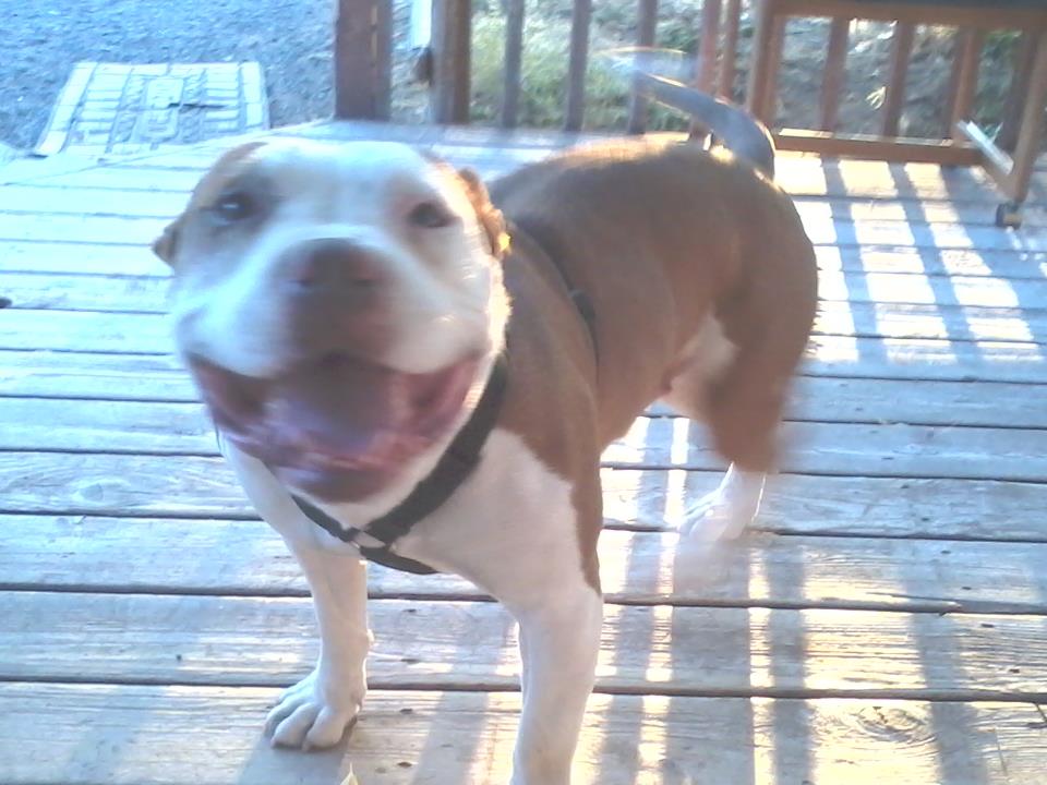Smiling Tiny