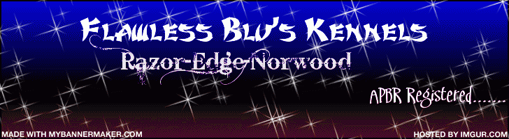 MyBannerMaker_Banner
