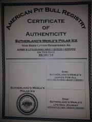 Max&#039;s Certificate