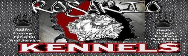 RK Pitbull social1