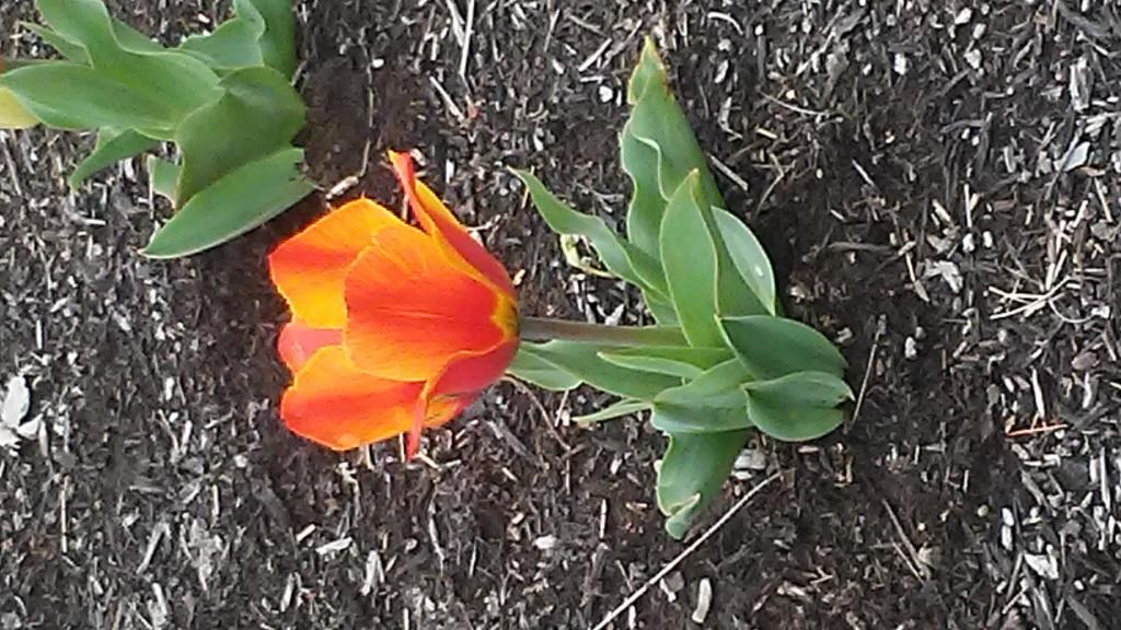 20170328_134857