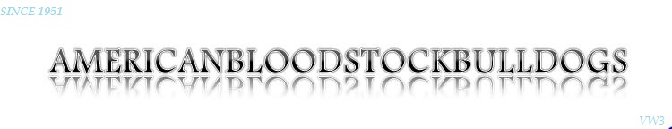 AMERICANBLOODSTOCKBULLDOGSAAA