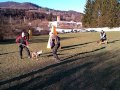 Kynologický klub Brezno-JL&#039;s Berry defense training