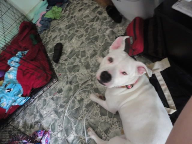 Photobucket