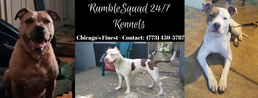 RumbleSquad 24-7 Banner
